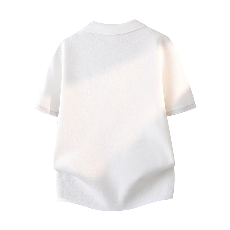 夏の新作ライトラグジュアリーメンズシンプルTシャツラペル半袖 - Men'S Fashion Polo Shirt のレビューと価格